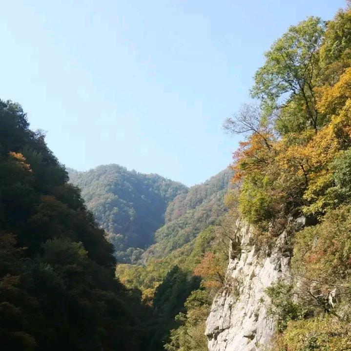窗前雨打落叶