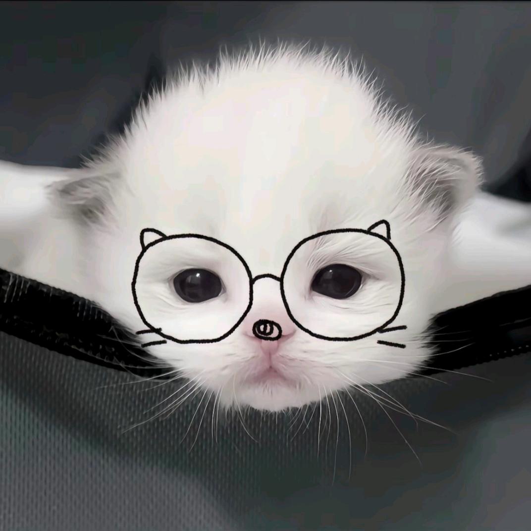 蛋挞.