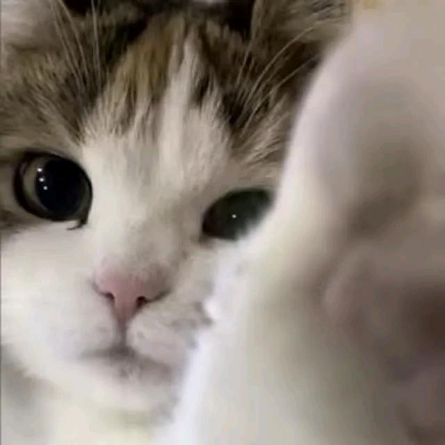 年与年