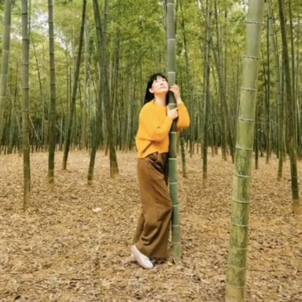 陶淘阳光浙江古城绍兴
