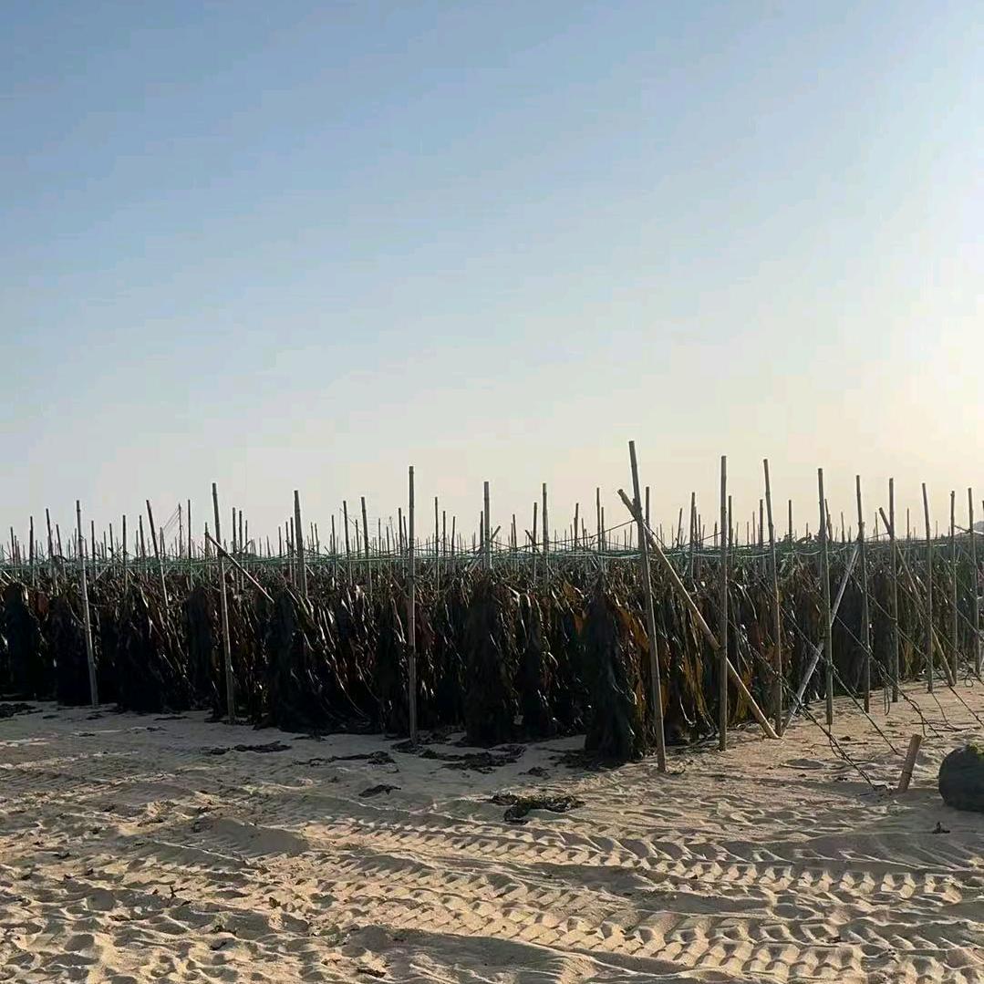 小金农场品百货铺