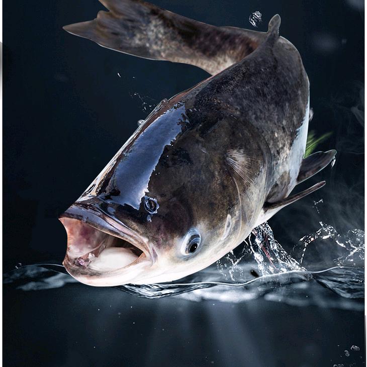 聚乐·四海巨物塘垂钓中心官方号