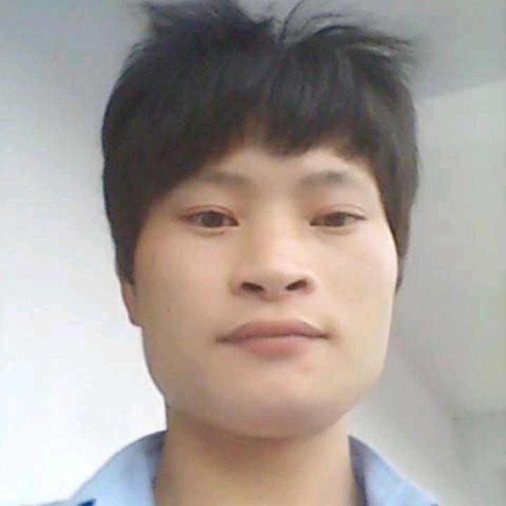 琴锐芳鑫