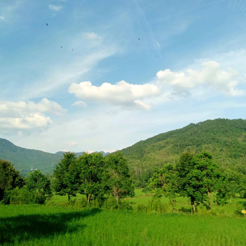 萧悠（日用百货）