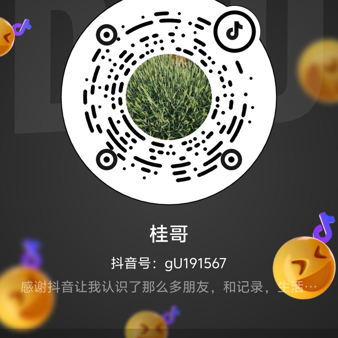 桂哥《记录生活》