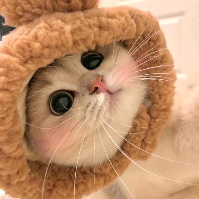 拿根辣条砸死你