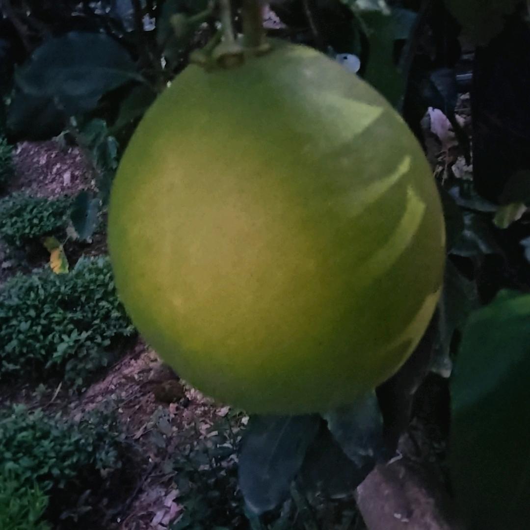 红尘过客