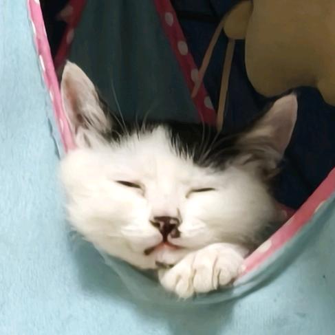 𝑨𝒏𝒕𝒂𝒓𝒆𝒔