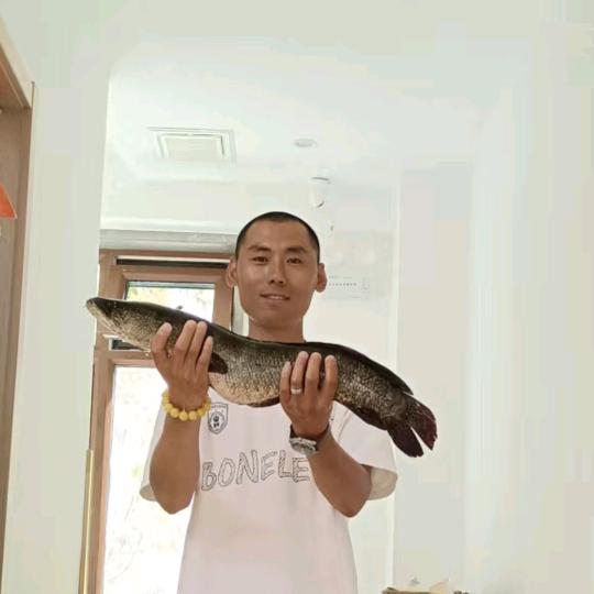 混出个样儿