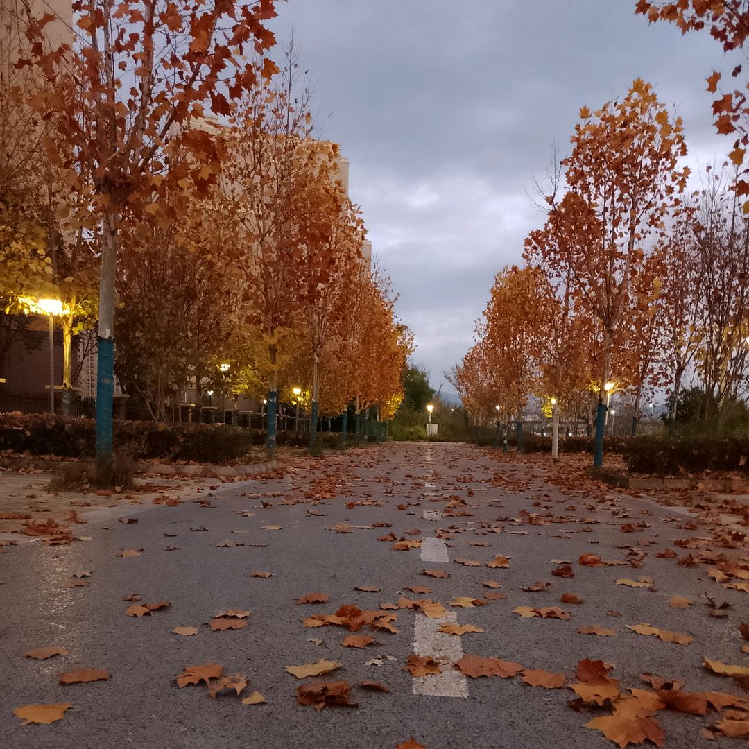 🚬Չᐝ活在ཫ༘当下࿐