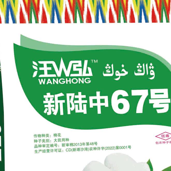 正兴种业 阿总