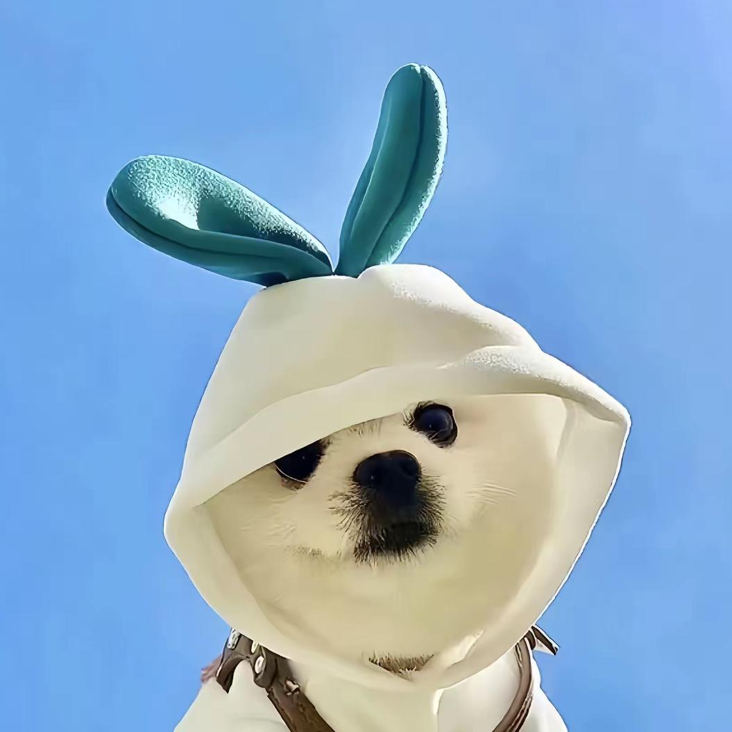 睡个懒觉⁸
