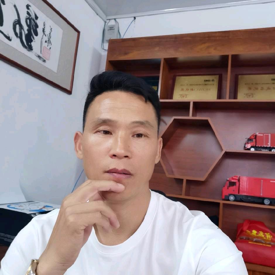 重汽豪沃轻卡十年老店，销服一体化！