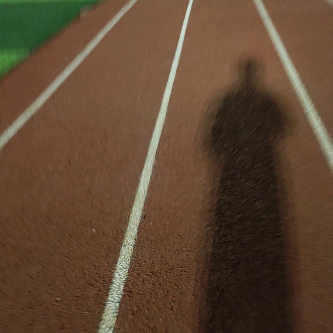 🪷🌈呆小冰🌈🪷