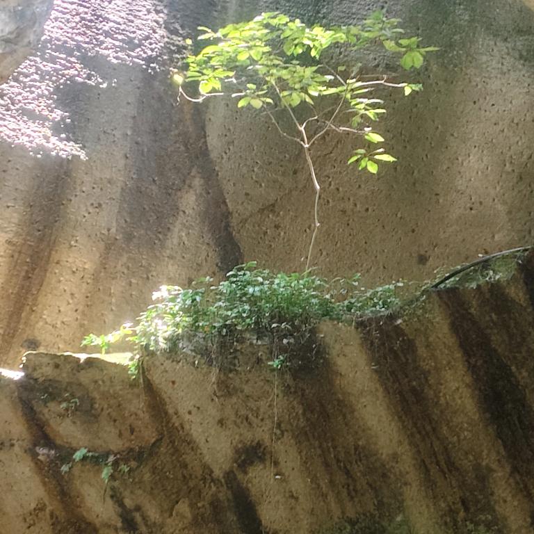 。漂泊