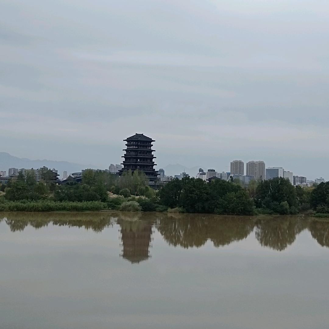 @刘家的菇凉@
