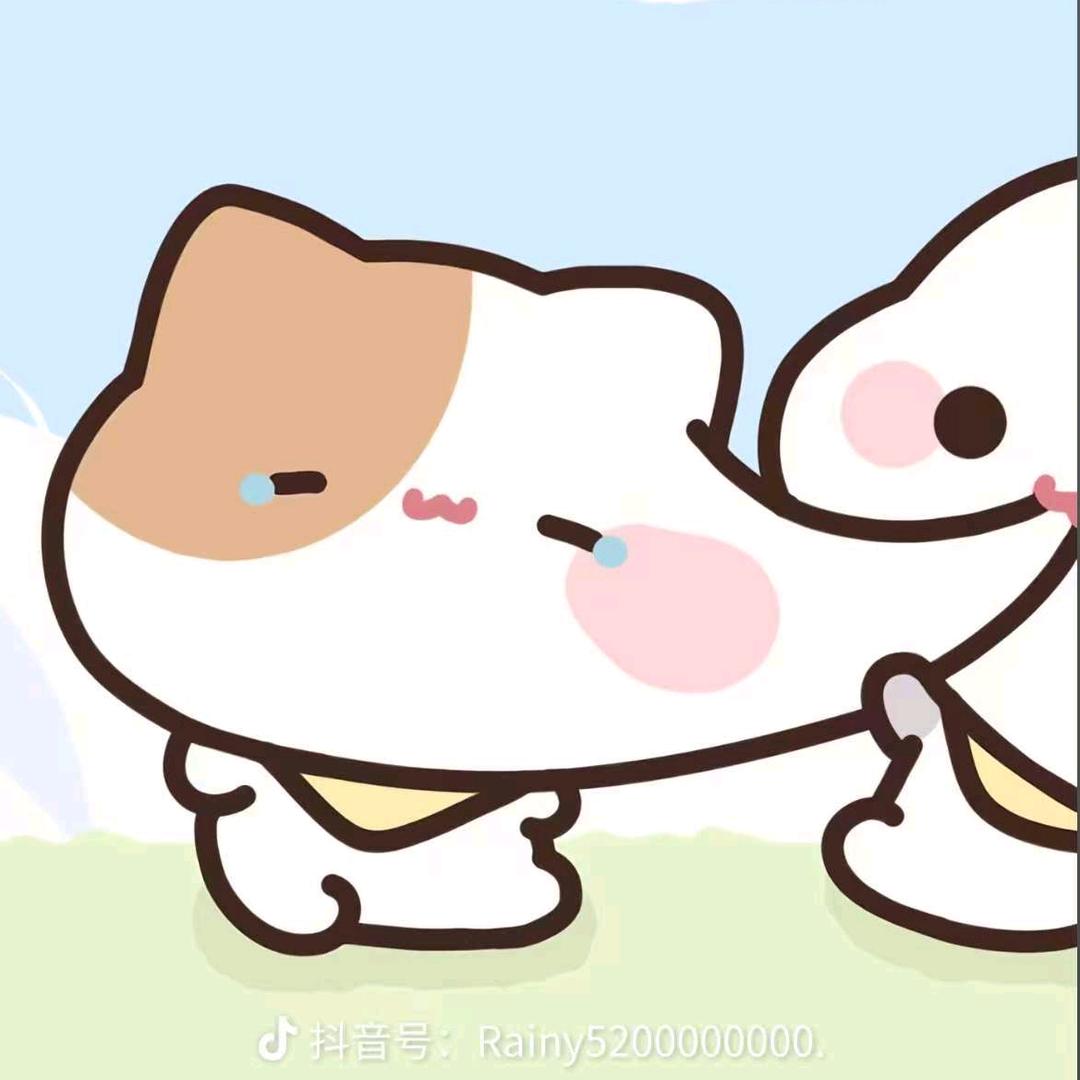 小灰灰是只猫