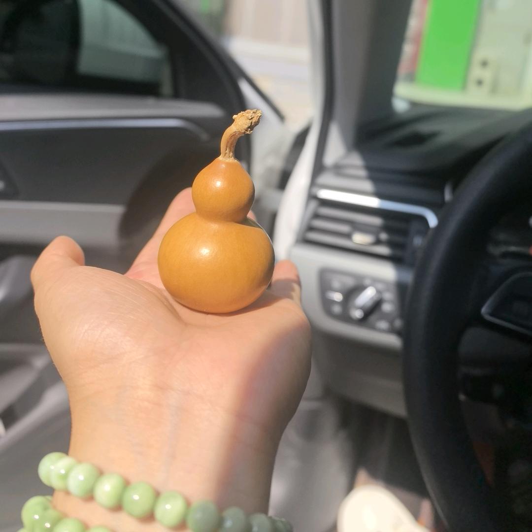 橙橙