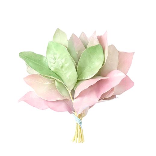 小邱不爱吃辣堡🚴‍♀️