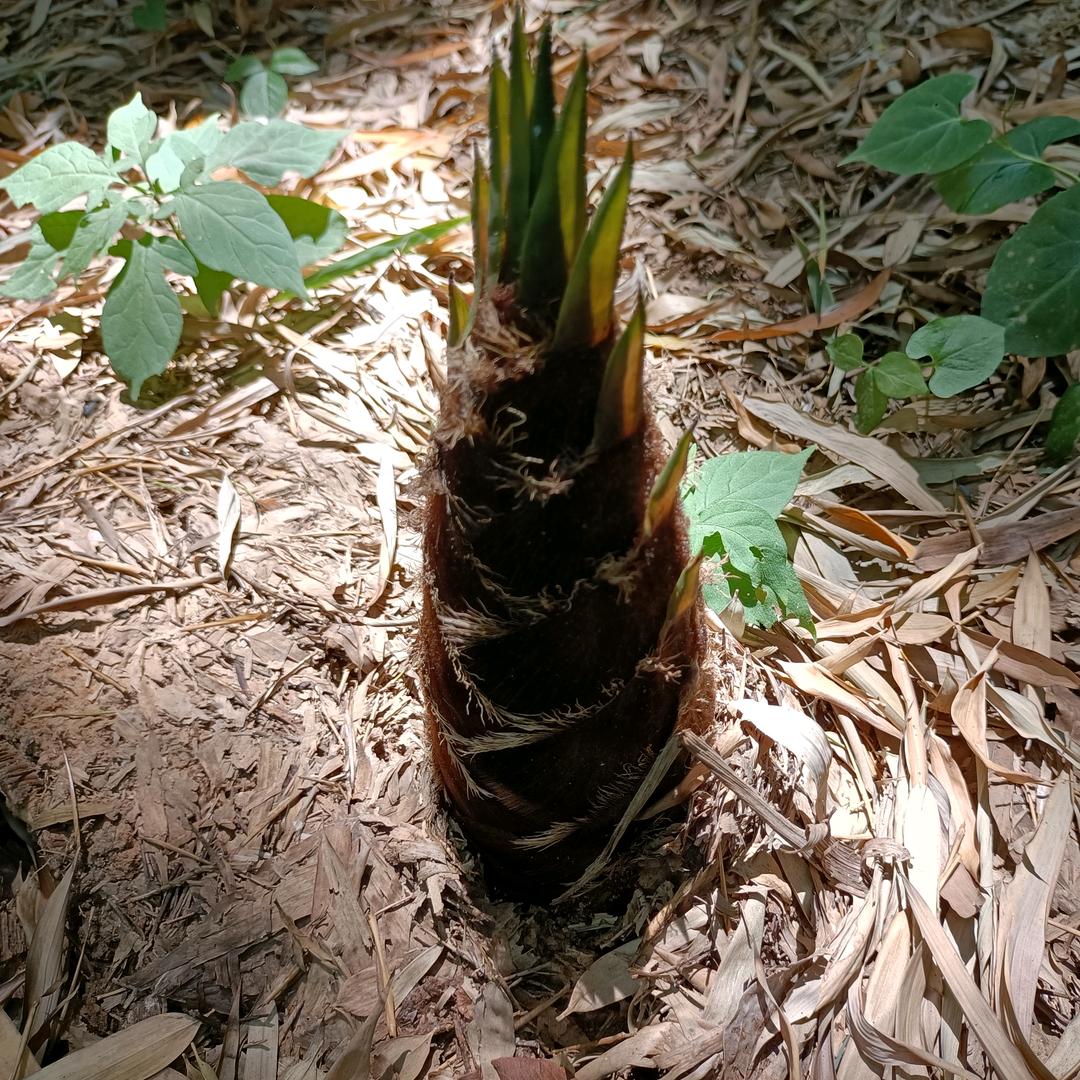 货   🚐  运🚐   吴🚐