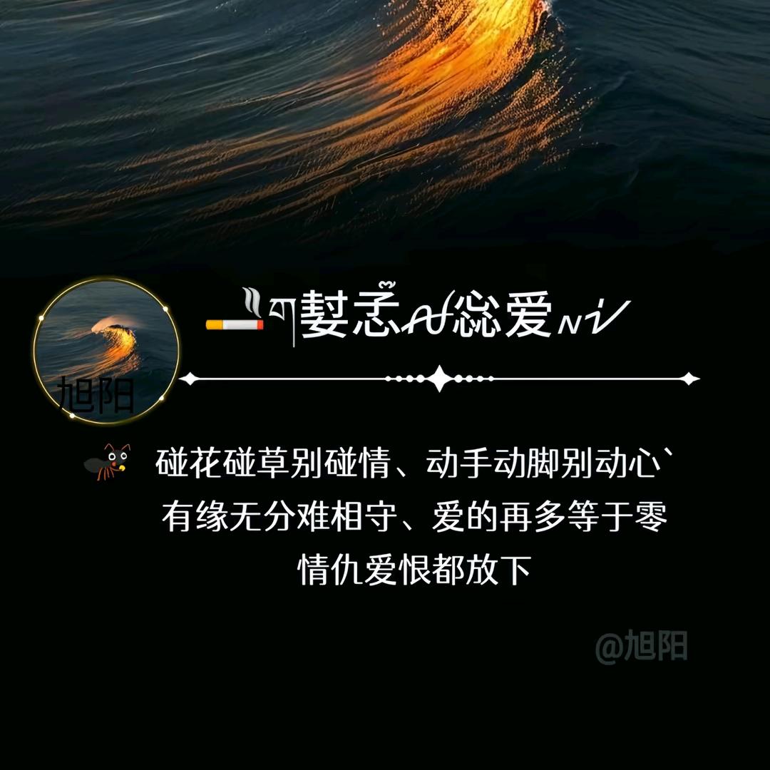 邓&yang