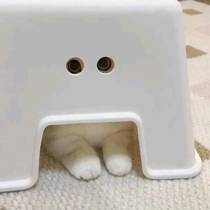 边走边看