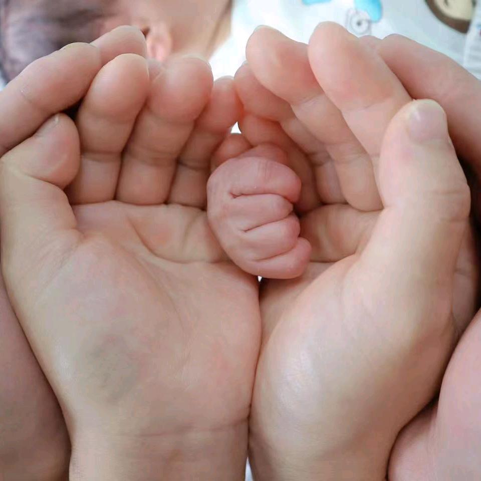 TCL家电团购官凤琴姐