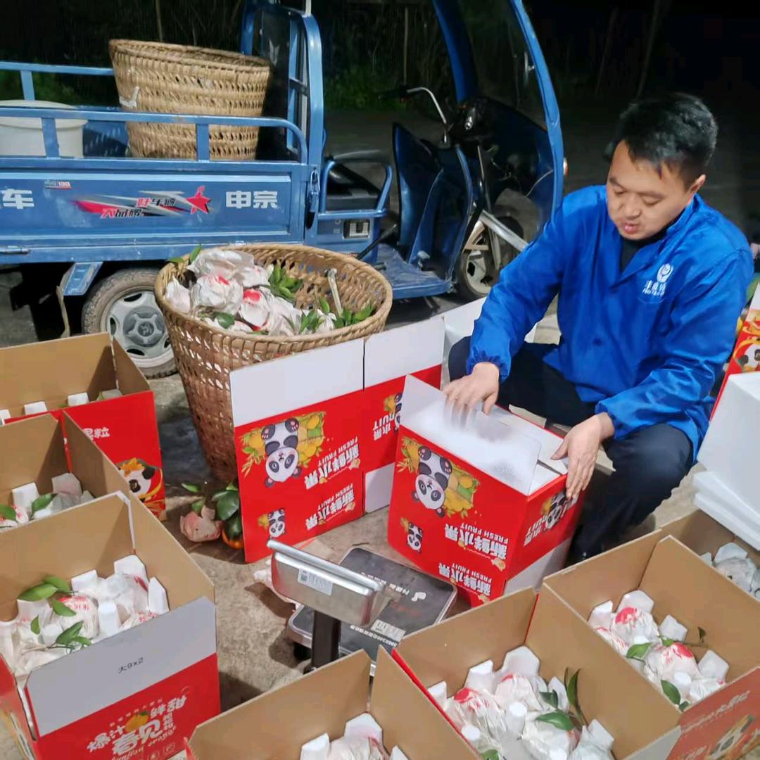 罗家生态果园——累不死的种柑人