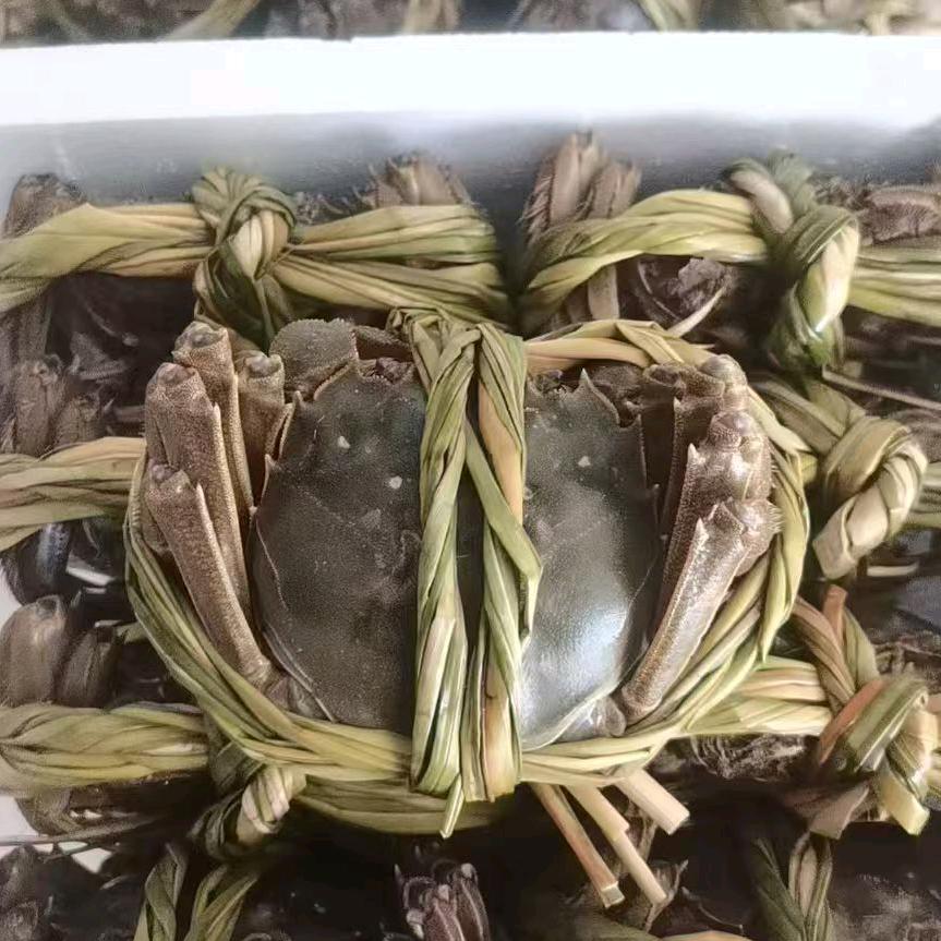 大闸蟹批发零售价