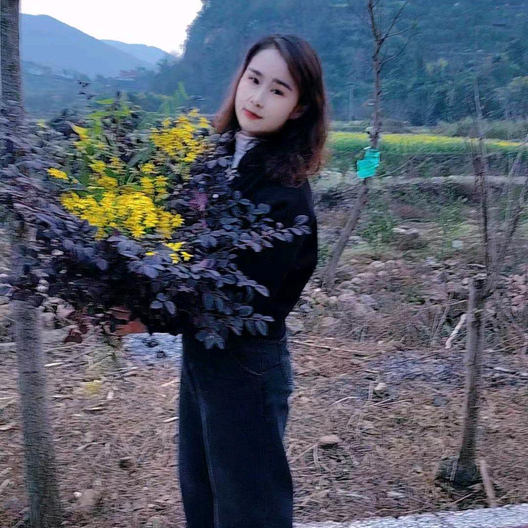 杨家二小姐