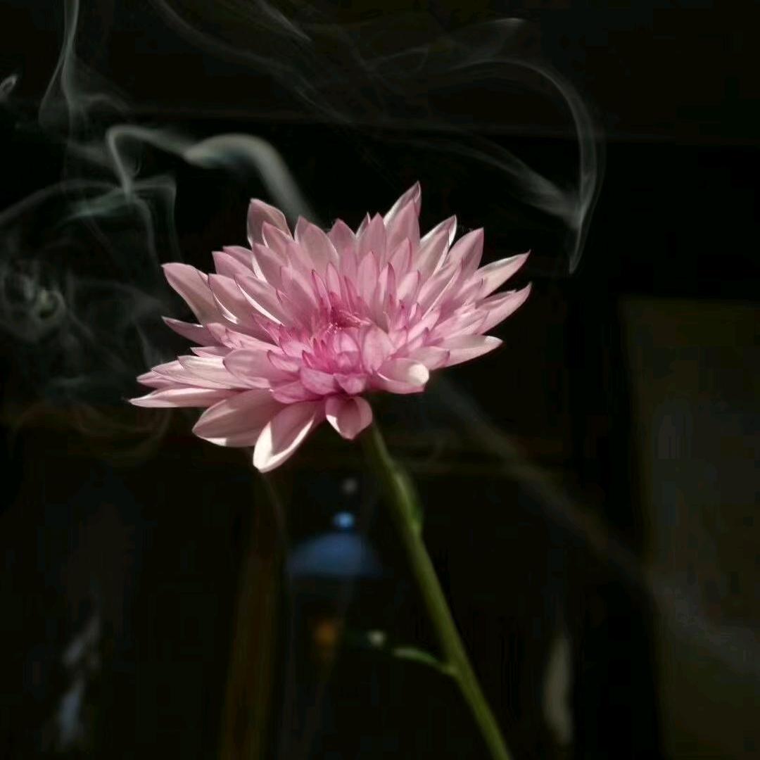 密相阁