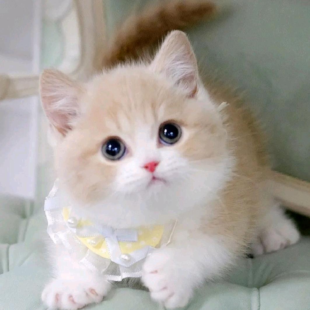 喜欢遇见都是ღ᭄ꦿ꯭上上签꧔ꦿ℘