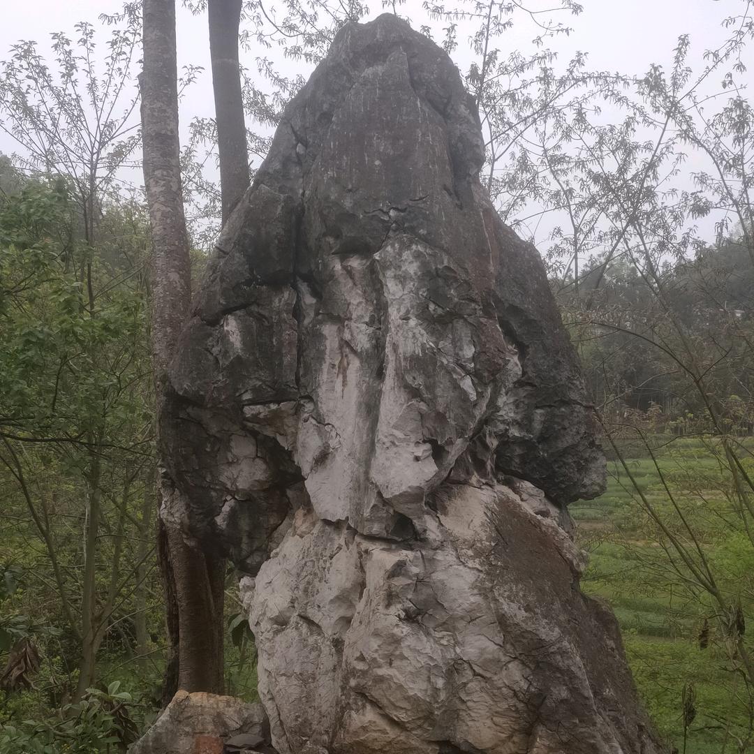 你在何方