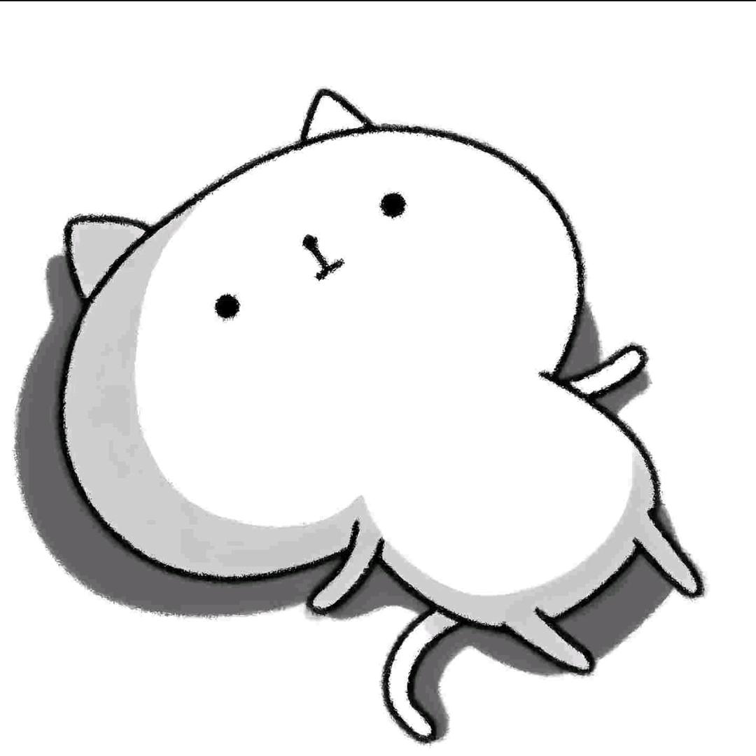 洋大眉毛
