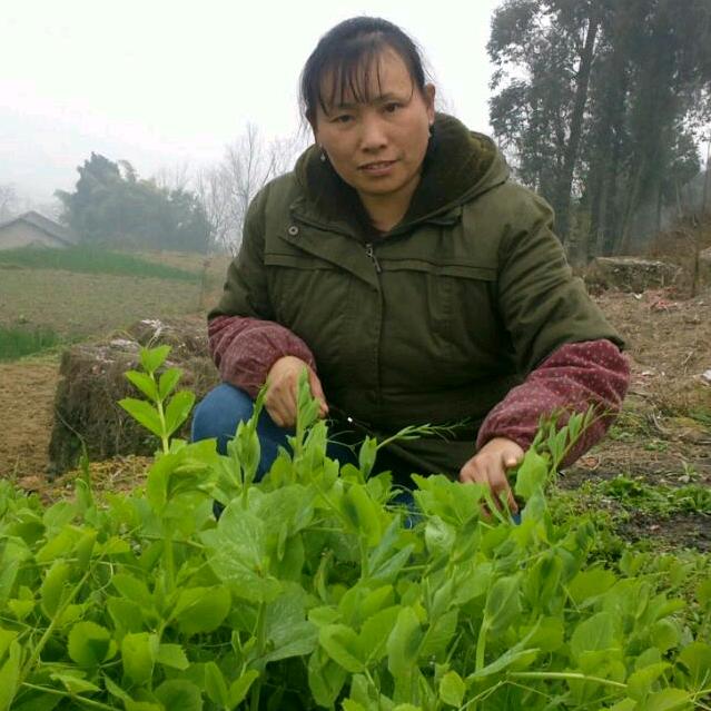 小会