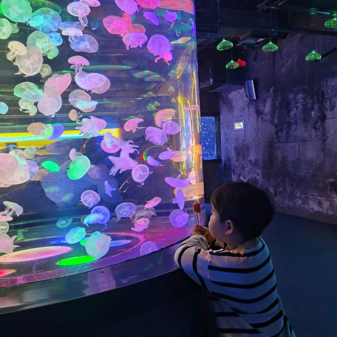 幽幽桑👩‍👦🐩🐾