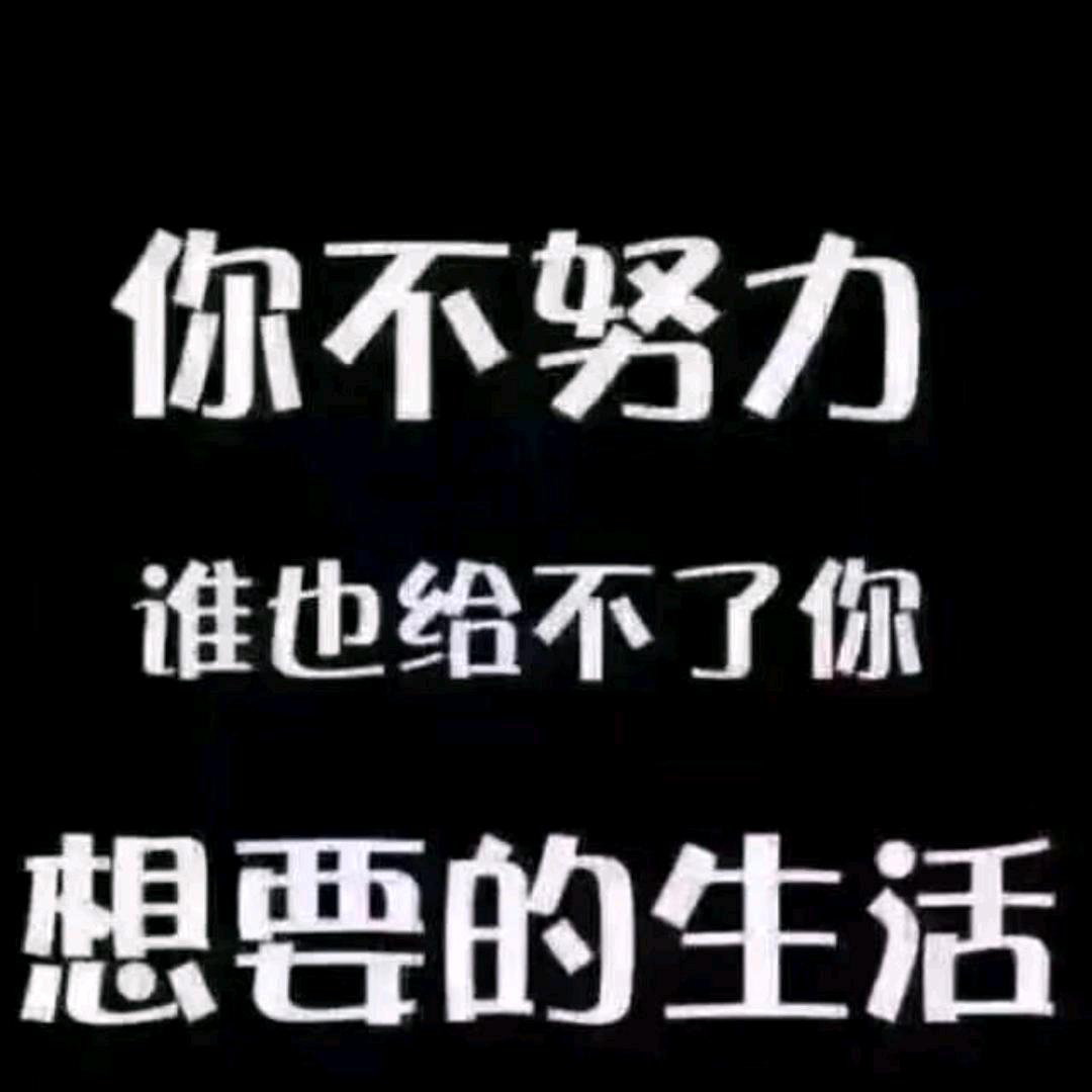 骁腾丝网（不锈钢宽网子）