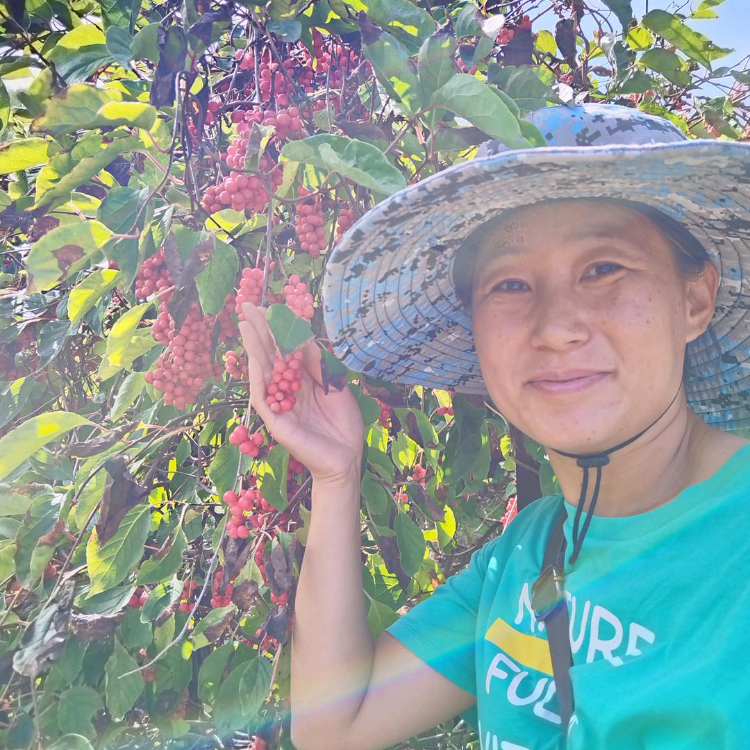 人参产地董老三