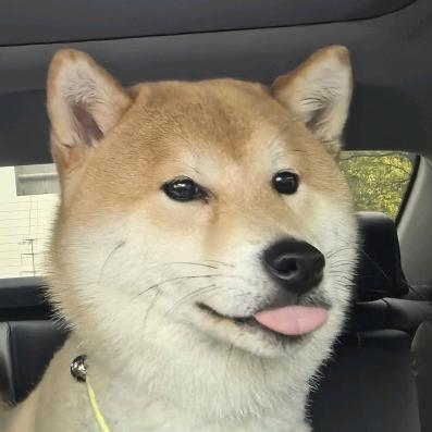 莫菲特