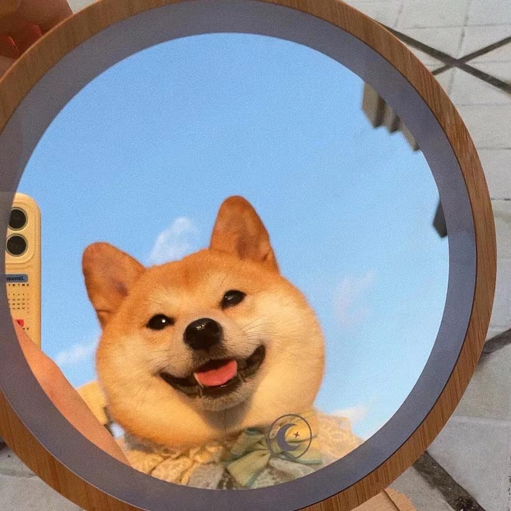 老登