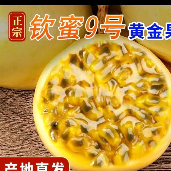 凯凯