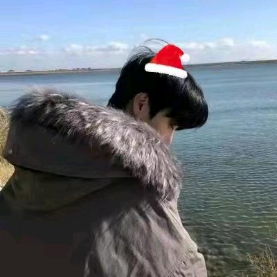 粽人皆醉我独醒