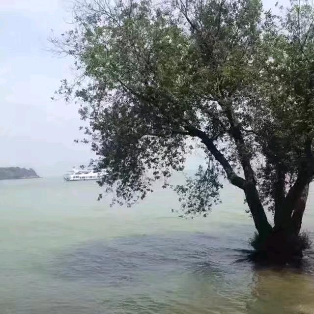 望海听潮……