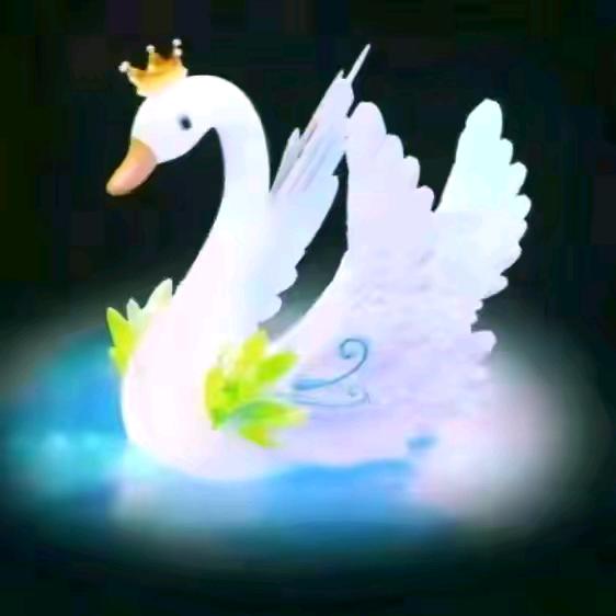 🌹ღ燕᭄ꦿꦿ꯭儿꧔ꦿ້໌ᮨ࿐