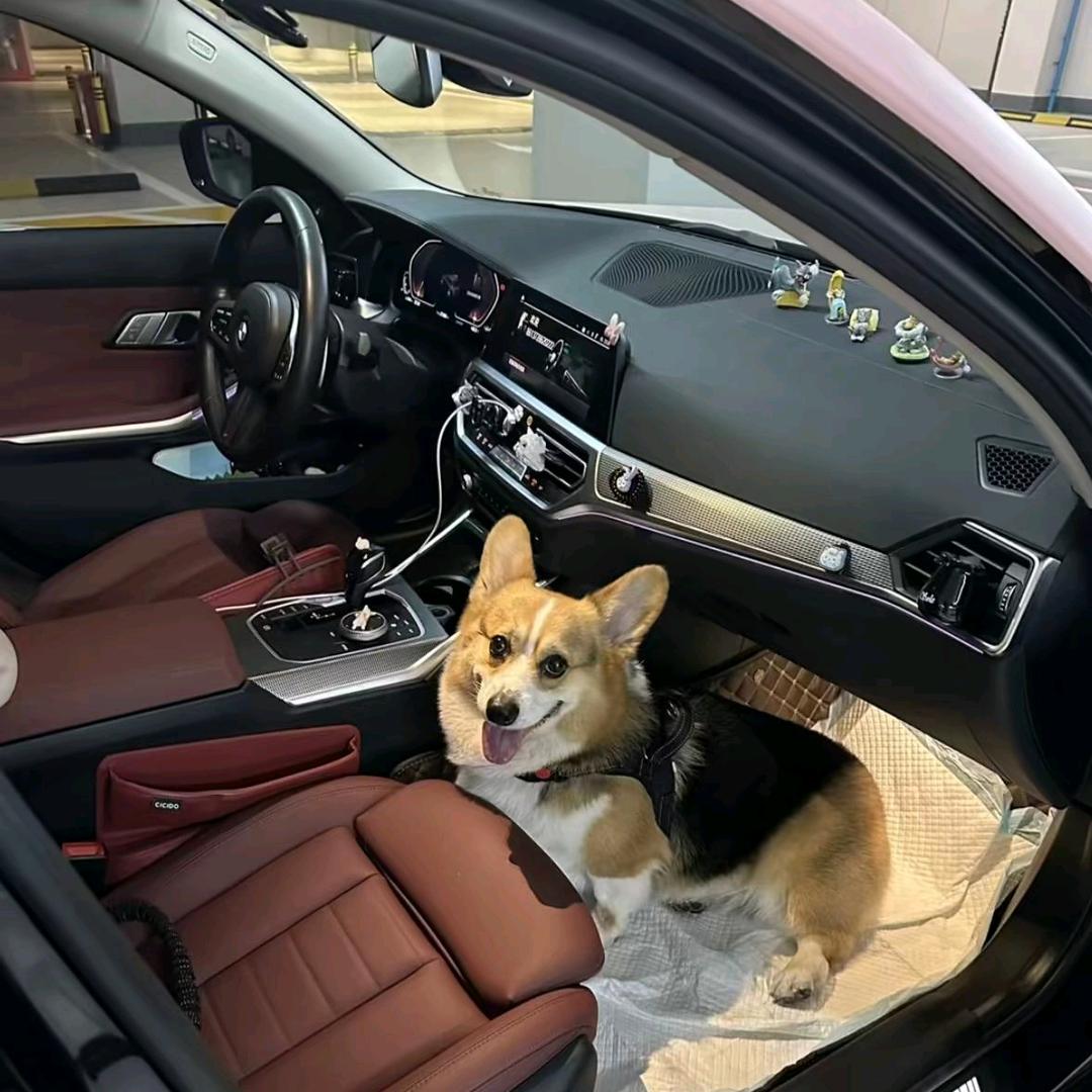 前女友跟黑人跑了