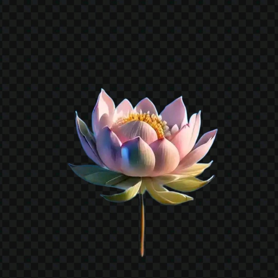 冀E～尘客