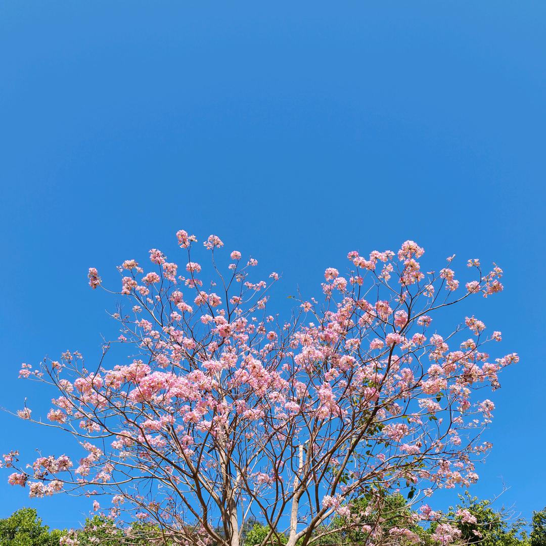 杰少好物在橱窗