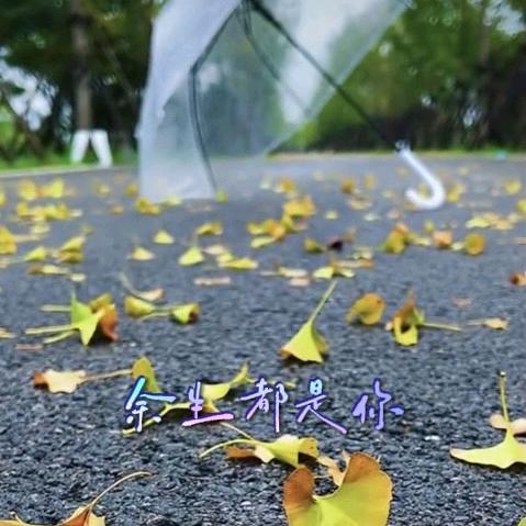 时来运转
