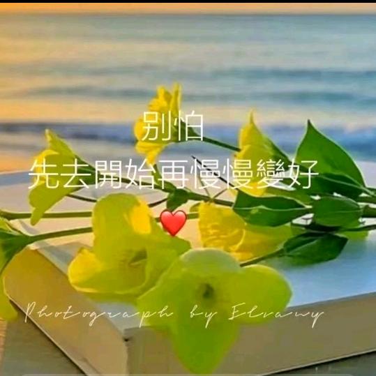莲莲161🍎