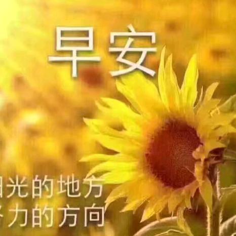 养蜂人